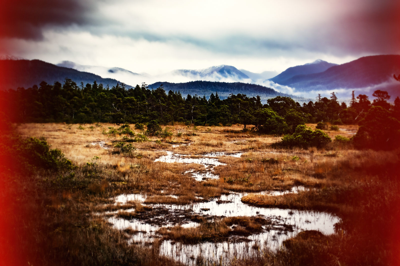 Wrangel Island